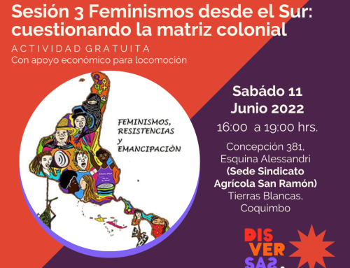 Feminismos desde el Sur: Cuestionando la matriz colonial